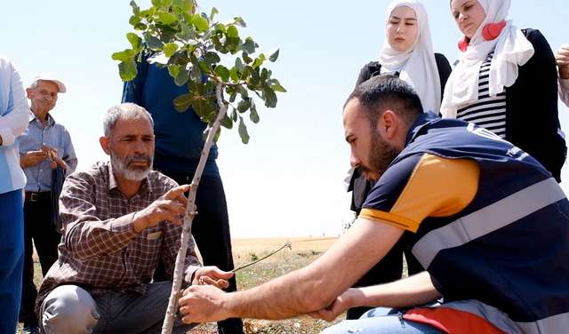 Miri El Hebşen, Geflüchteter aus Syrien in der Türkei, hat in einer landwirtschaftlichen Schulung gelernt, Pistazienbäume zu veredeln.