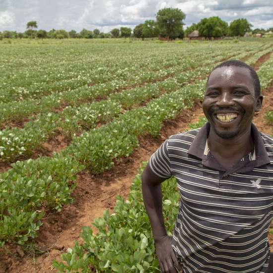 Entwicklungszusammenarbeit: Ein Mann steht lächelnd vor einem Feld mit langen Pflanzenreihen.