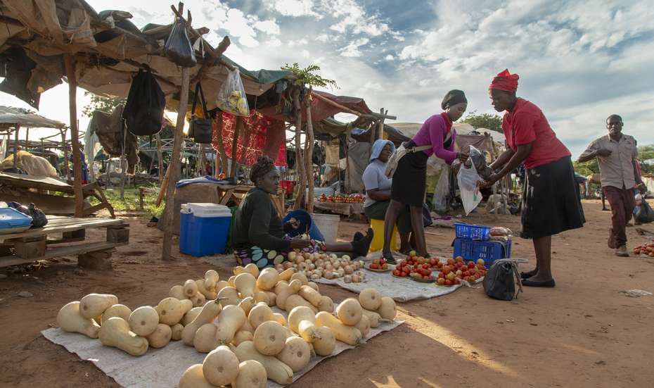 Kleinbäuerinnen in Simbabwe verkaufen ihre landwirtschaftlichen Erzeugnisse auf einem Markt