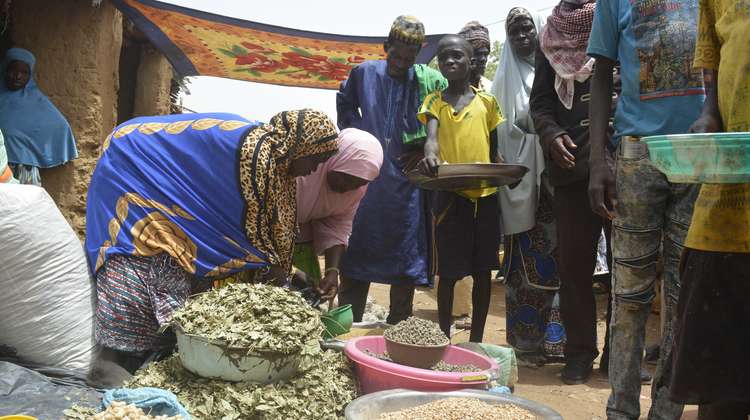 Frauen organisieren verschiedene Getreidesorten in Schüsseln